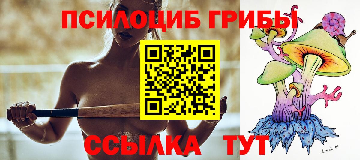 где найти наркотики  Галлюциногенные грибы мицелий  Псилоцибиновые грибы Psilocybine cubensis  Вход с VPN  Качканар 